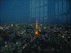 東京シティビューからの夜景(4)/東京タワー方面
