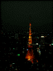 東京シティビューからの夜景(5)/東京タワー方面