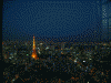 東京シティビューからの夜景(6)/東京タワー方面