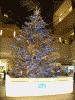 六本木ヒルズのクリスマスツリー(2)
