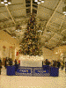 上野駅中央改札のクリスマスツリー