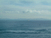 スーパー白鳥１号からの車窓(13)/下北半島と津軽海峡を航行するフェリー
