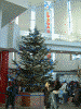 函館駅構内のクリスマスツリー