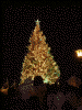 はこだてクリスマスファンタジーのツリー(1)