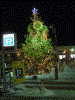 函館駅駐車場のクリスマスツリー