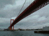 渡船から眺める若戸大橋(2)
