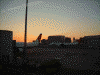 夜明けの羽田空港(2)/JAL機