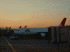 夜明けの羽田空港(5)/JAL機