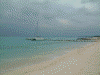前浜ビーチ(1)