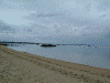 佐和田の浜(1)