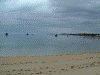 佐和田の浜(2)
