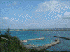 来間大橋に近い展望台からの眺め(1)/前浜ビーチ方面