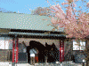 稲取・文化公園 雛の館(2)
