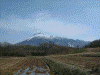 八幡平地区から見る岩手山(3)