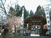 桜山神社(1)