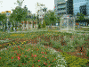 帯広駅前の花畑