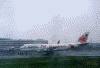 JAL1151便から見た羽田空港の飛行機たち＜一眼レフ写真＞(2)/リゾッチャ