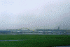 JAL1151便から見た羽田空港の飛行機たち＜一眼レフ写真＞(11)/第２ターミナルに集うANA機。ポケモンジェットもいます