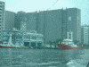 未来型水上バス「ヒミコ」からの眺め(10)/消防艇