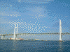 マリーンシャトルからの横浜港の眺め／横浜ベイブリッジ(1)