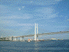 マリーンシャトルからの横浜港の眺め／横浜ベイブリッジ(2)
