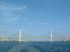 マリーンシャトルからの横浜港の眺め／横浜ベイブリッジ(5)