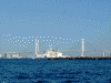 シーバスから眺める横浜港(1)／海上保安庁の船と横浜ベイブリッジ