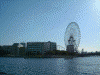 シーバスから眺める横浜港(3)／コスモクロック２１と万葉倶楽部