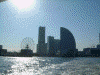 シーバスから眺める横浜港(6)／コスモクロック２１、ランドマークタワー、インターコンチネンタルホテル横浜