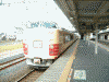 国鉄形特急電車183系が回送で通過(2)/栗橋駅にて