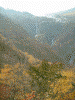 展望台からの眺め(11)/華厳の滝と黄葉