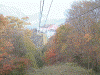 明智平ロープウェイからの眺め(6)/展望台駅近くでは紅葉が始まっています