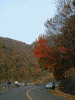 中禅寺湖周辺の紅葉(1)