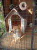 みゆき荘の看板犬 ハルちゃん(2)
