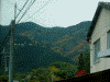 善峯寺へ向かうバスの車窓より(3)／山の中腹あたりに見えるのが善峯寺？