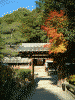 宇治上神社(2)