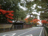 奈良公園の紅葉(1)