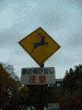 鹿の飛び出し注意の交通標識