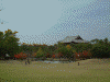 春日野園地を歩く(3)／東大寺が見えてきます