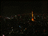 東京シティビューからの眺め(1)／東京タワーと共に
