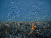 東京シティビューからの眺め(5)/東京タワーと共に