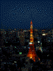 東京シティビューからの眺め(6)/東京タワーと共に