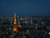 東京シティビューからの眺め(8)/東京タワーと葛西臨海公園の観覧車