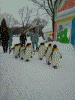 ペンギンの散歩(11)