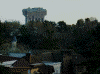 スイスファミリー・ツリーハウスからディズニーシーのタワー・オブ・テラーが見えました…