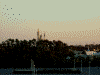 部屋からの眺め(4)/朝日に輝くシンデレラ城
