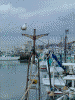 外川漁港(1)