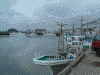 外川漁港(2)