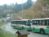 たくさん待機している中千本公園行きの臨時バス