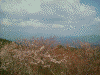 高城山展望台からの眺め(2)